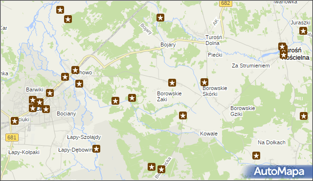 mapa Borowskie Żaki, Borowskie Żaki na mapie Targeo