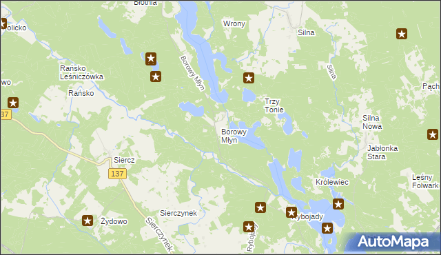 mapa Borowy Młyn gmina Pszczew, Borowy Młyn gmina Pszczew na mapie Targeo