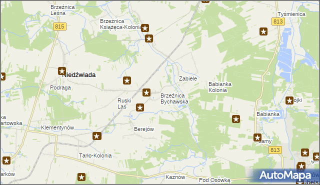 mapa Brzeźnica Bychawska, Brzeźnica Bychawska na mapie Targeo