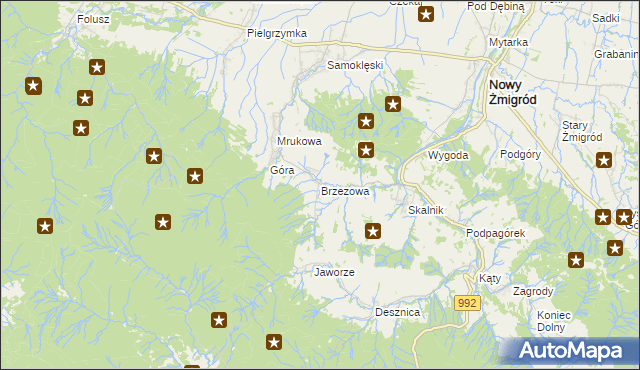 mapa Brzezowa gmina Nowy Żmigród, Brzezowa gmina Nowy Żmigród na mapie Targeo