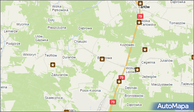 mapa Brzozowa gmina Tarłów, Brzozowa gmina Tarłów na mapie Targeo