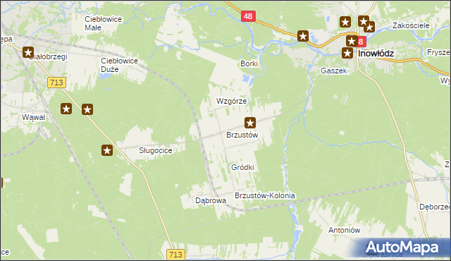 mapa Brzustów gmina Inowłódz, Brzustów gmina Inowłódz na mapie Targeo