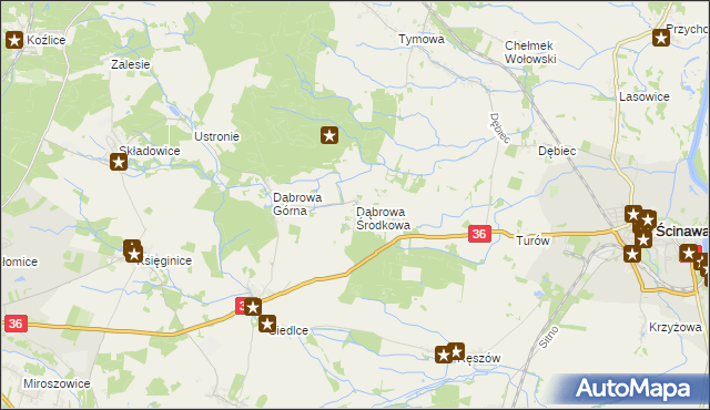 mapa Dąbrowa Środkowa, Dąbrowa Środkowa na mapie Targeo