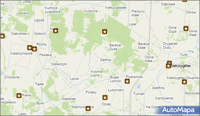 mapa Delfina gmina Siemkowice, Delfina gmina Siemkowice na mapie Targeo