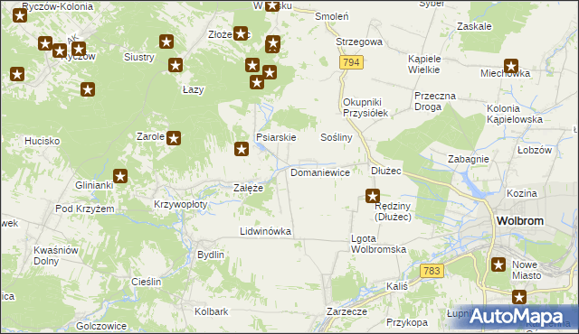 mapa Domaniewice gmina Wolbrom, Domaniewice gmina Wolbrom na mapie Targeo