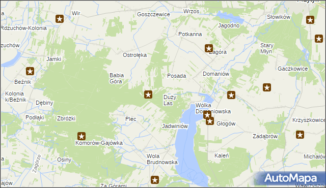 mapa Duży Las gmina Przytyk, Duży Las gmina Przytyk na mapie Targeo