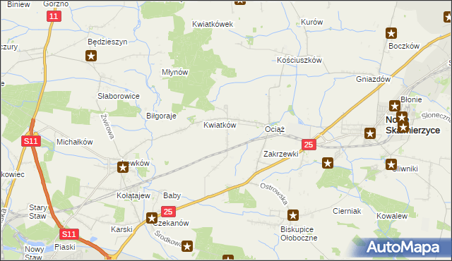 mapa Fabianów gmina Nowe Skalmierzyce, Fabianów gmina Nowe Skalmierzyce na mapie Targeo