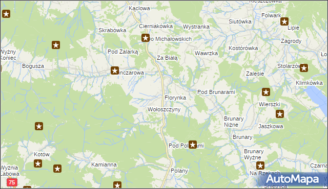 mapa Florynka, Florynka na mapie Targeo