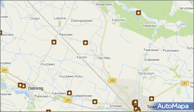 mapa Gaj Mały gmina Obrzycko, Gaj Mały gmina Obrzycko na mapie Targeo