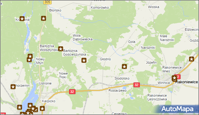 mapa Głodno gmina Rakoniewice, Głodno gmina Rakoniewice na mapie Targeo