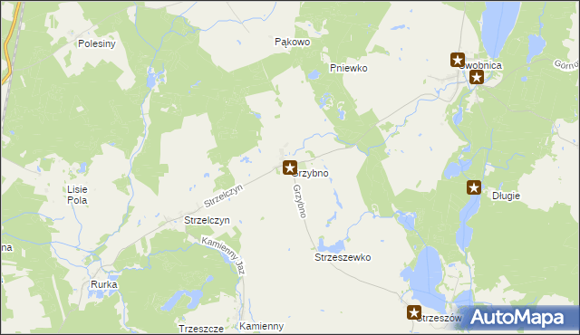 mapa Grzybno gmina Chojna, Grzybno gmina Chojna na mapie Targeo