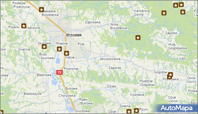 mapa Januszkowice gmina Brzostek, Januszkowice gmina Brzostek na mapie Targeo
