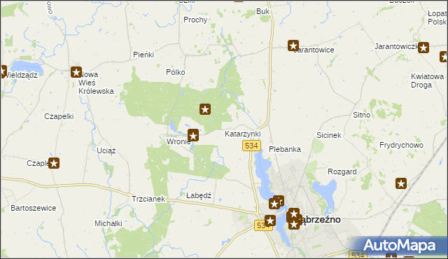 mapa Katarzynki gmina Ryńsk, Katarzynki gmina Ryńsk na mapie Targeo