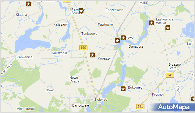 mapa Kopaszyn gmina Wągrowiec, Kopaszyn gmina Wągrowiec na mapie Targeo