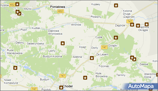 mapa Książ gmina Chodel, Książ gmina Chodel na mapie Targeo