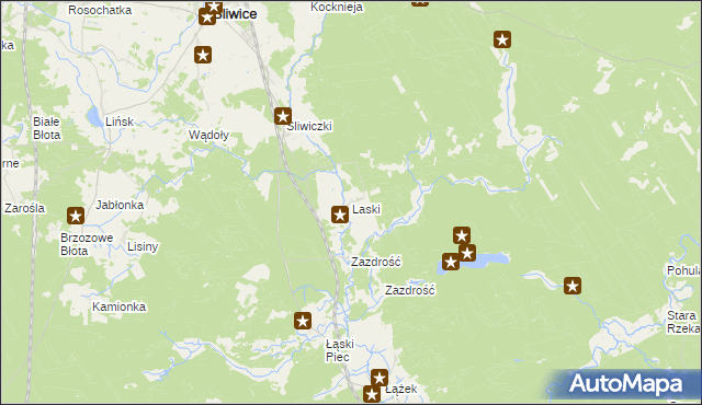 mapa Laski gmina Śliwice, Laski gmina Śliwice na mapie Targeo