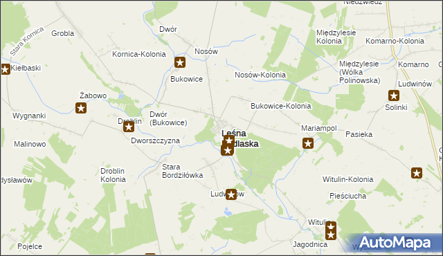 mapa Leśna Podlaska, Leśna Podlaska na mapie Targeo