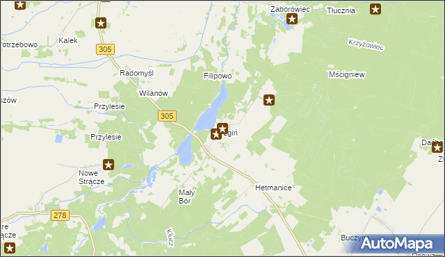 mapa Lgiń, Lgiń na mapie Targeo