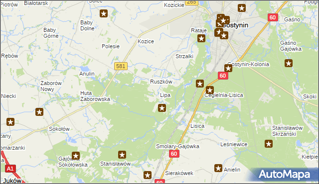 mapa Lipa gmina Gostynin, Lipa gmina Gostynin na mapie Targeo