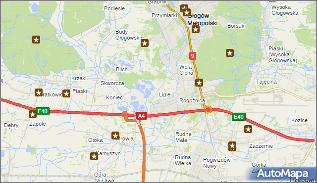 mapa Lipie gmina Głogów Małopolski, Lipie gmina Głogów Małopolski na mapie Targeo