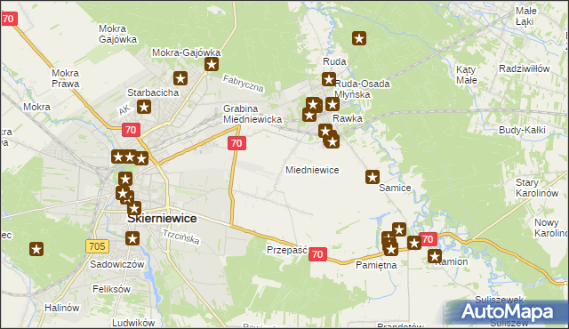 mapa Miedniewice gmina Skierniewice, Miedniewice gmina Skierniewice na mapie Targeo