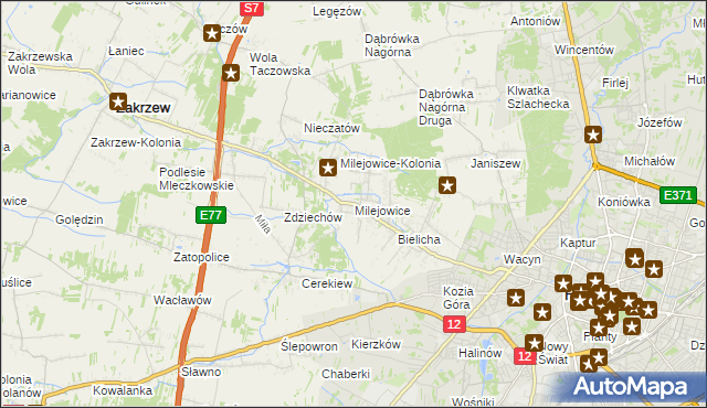 mapa Milejowice gmina Zakrzew, Milejowice gmina Zakrzew na mapie Targeo