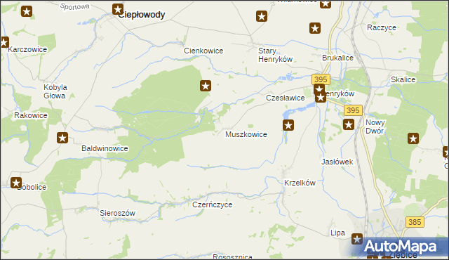 mapa Muszkowice, Muszkowice na mapie Targeo