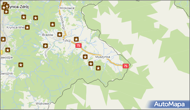 mapa Muszynka, Muszynka na mapie Targeo