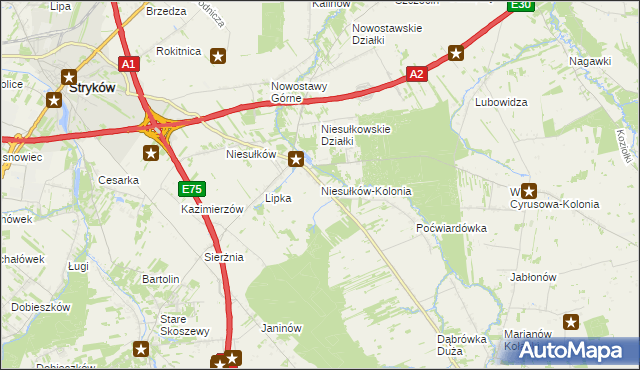 mapa Niesułków-Kolonia, Niesułków-Kolonia na mapie Targeo