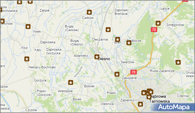 mapa Olesno powiat dąbrowski, Olesno powiat dąbrowski na mapie Targeo