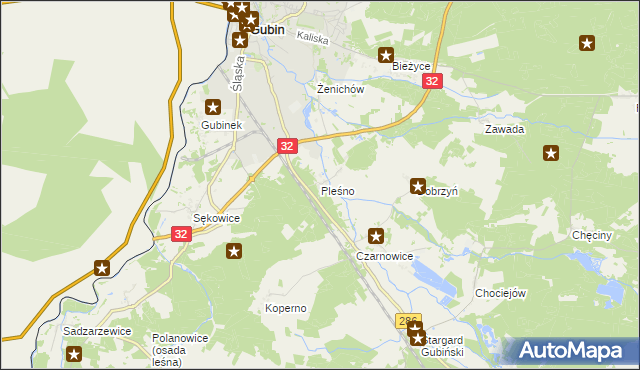 mapa Pleśno gmina Gubin, Pleśno gmina Gubin na mapie Targeo