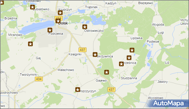 mapa Pokrzywnica gmina Dolsk, Pokrzywnica gmina Dolsk na mapie Targeo