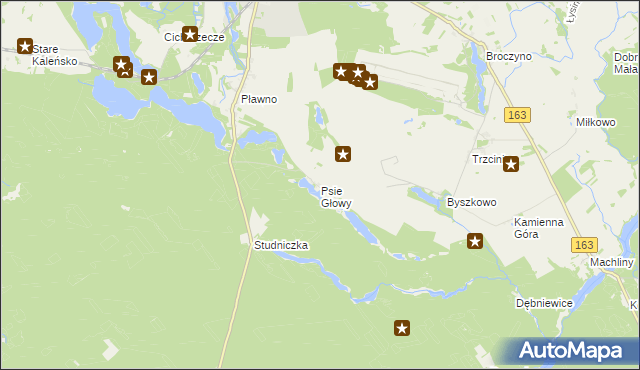 mapa Psie Głowy, Psie Głowy na mapie Targeo