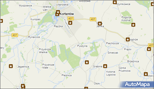 mapa Puszyna, Puszyna na mapie Targeo