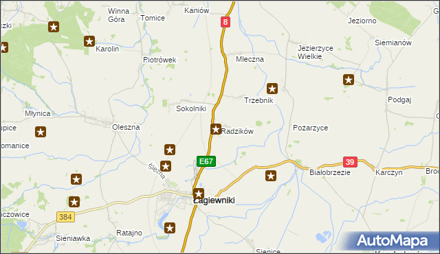 mapa Radzików gmina Łagiewniki, Radzików gmina Łagiewniki na mapie Targeo