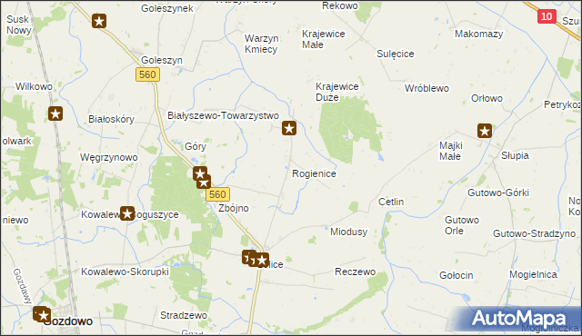mapa Rogienice gmina Gozdowo, Rogienice gmina Gozdowo na mapie Targeo