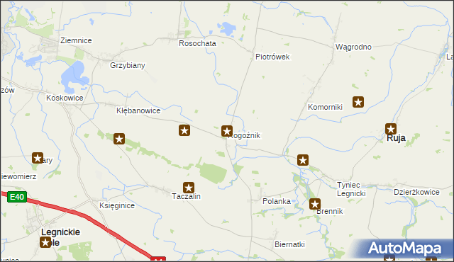 mapa Rogoźnik gmina Ruja, Rogoźnik gmina Ruja na mapie Targeo