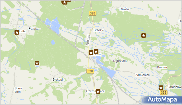 mapa Rokitki gmina Chojnów, Rokitki gmina Chojnów na mapie Targeo