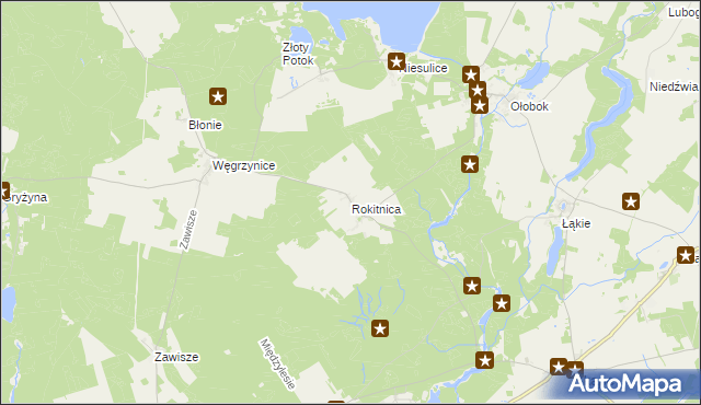 mapa Rokitnica gmina Skąpe, Rokitnica gmina Skąpe na mapie Targeo