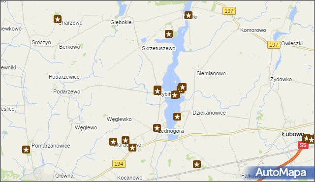 mapa Rybitwy gmina Łubowo, Rybitwy gmina Łubowo na mapie Targeo