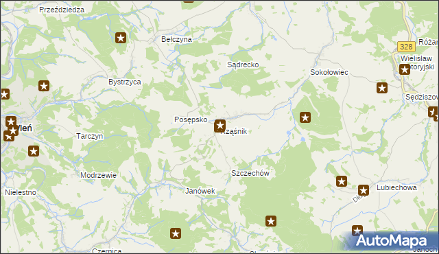 mapa Rząśnik gmina Świerzawa, Rząśnik gmina Świerzawa na mapie Targeo