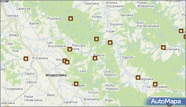 mapa Rzepnik, Rzepnik na mapie Targeo