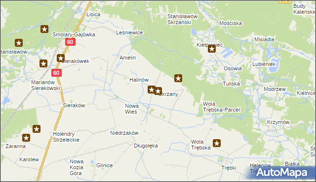 mapa Skrzany gmina Gostynin, Skrzany gmina Gostynin na mapie Targeo
