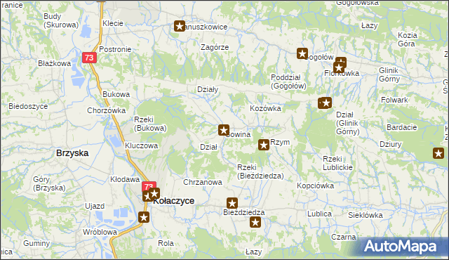 mapa Sowina gmina Kołaczyce, Sowina gmina Kołaczyce na mapie Targeo