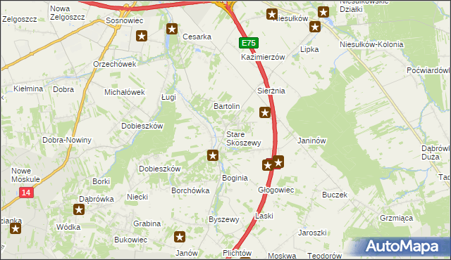 mapa Stare Skoszewy, Stare Skoszewy na mapie Targeo