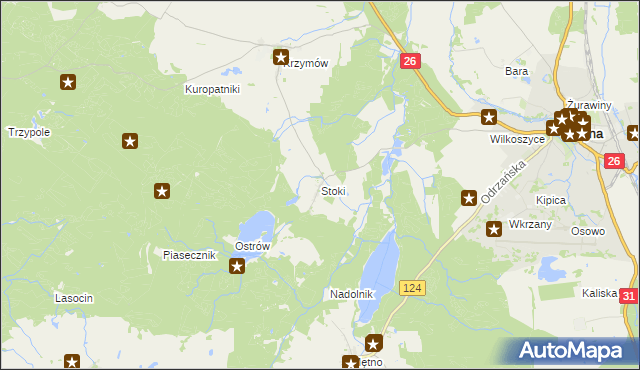 mapa Stoki gmina Chojna, Stoki gmina Chojna na mapie Targeo