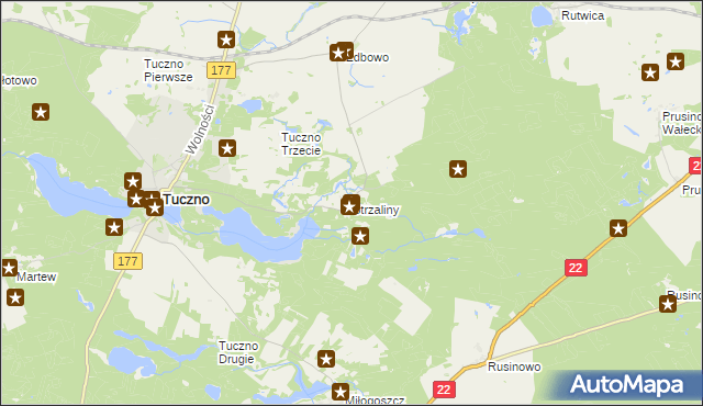 mapa Strzaliny, Strzaliny na mapie Targeo