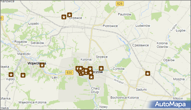 mapa Strzelce gmina Nałęczów, Strzelce gmina Nałęczów na mapie Targeo