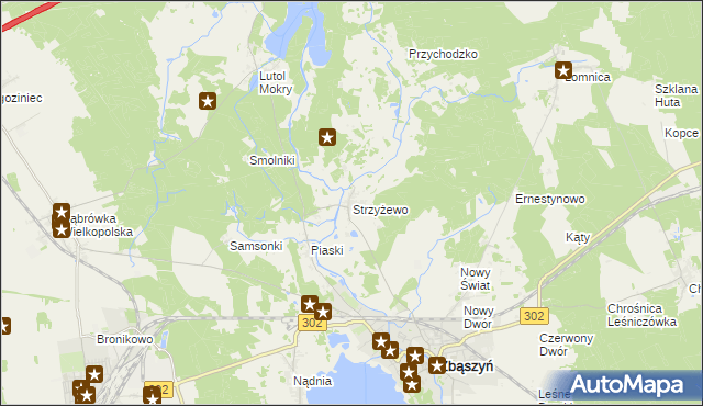 mapa Strzyżewo gmina Zbąszyń, Strzyżewo gmina Zbąszyń na mapie Targeo