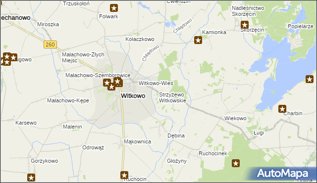 mapa Strzyżewo Witkowskie, Strzyżewo Witkowskie na mapie Targeo